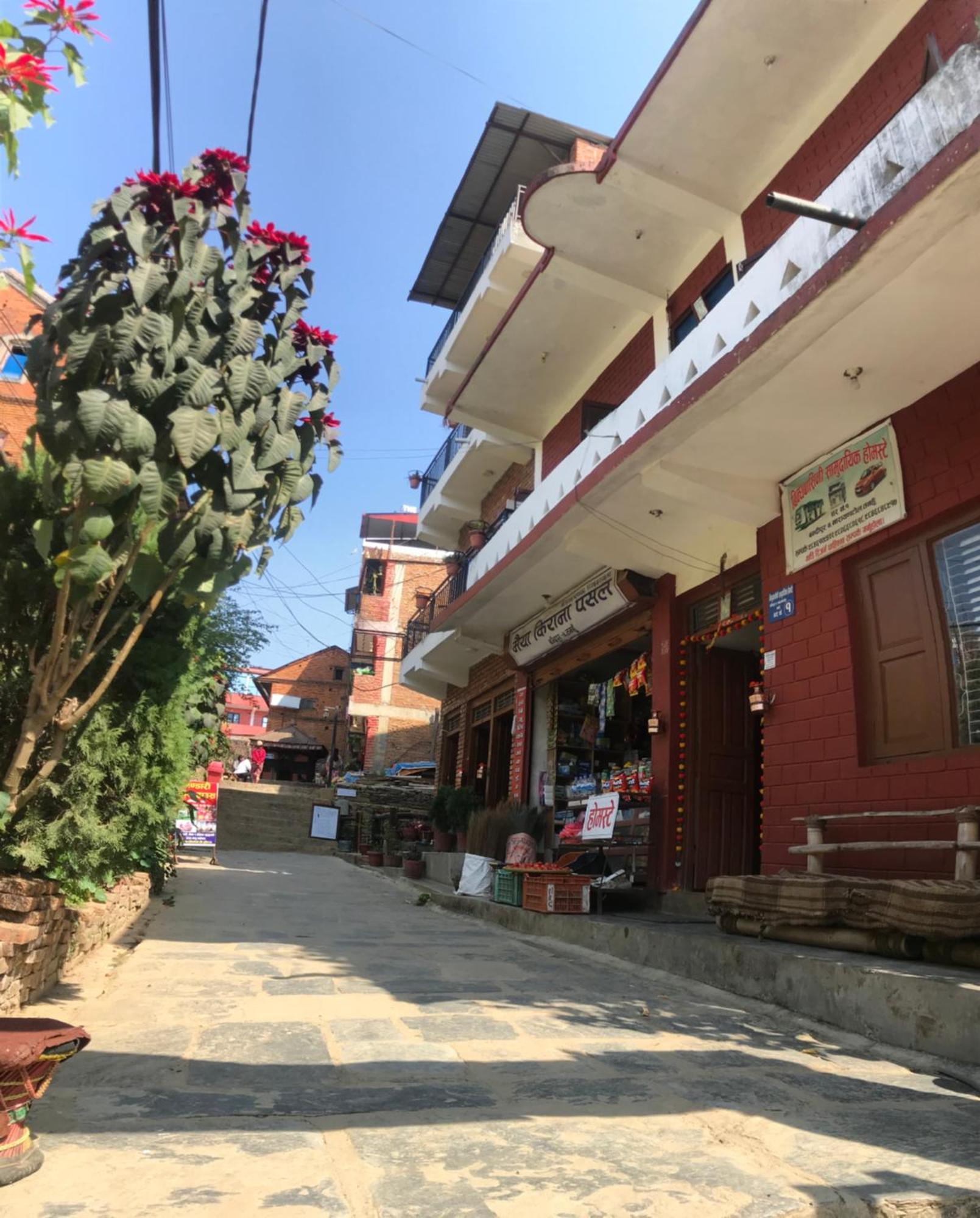 Shristi Hotel & Lodge Bandipur Bagian luar foto